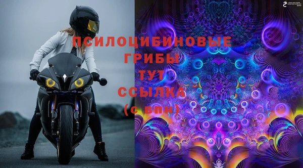 PSILOCYBIN Гусиноозёрск