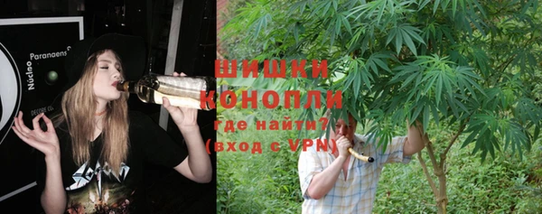 круглые Вязьма