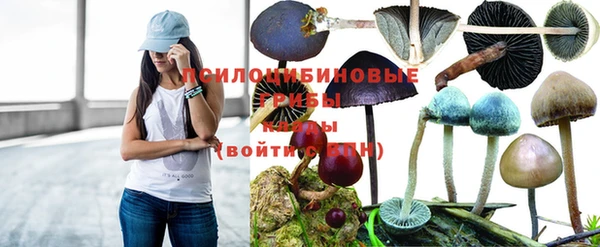 круглые Медвежьегорск