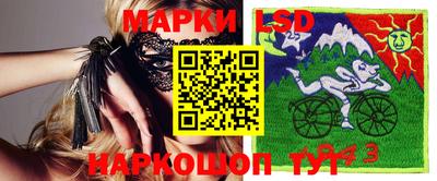 тгк Бийск