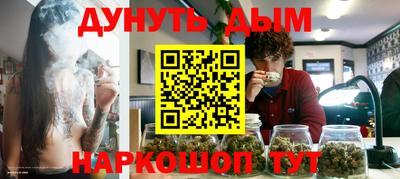 тгк Бийск