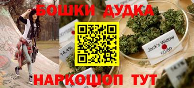 тгк Бийск