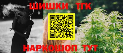 тгк Бийск