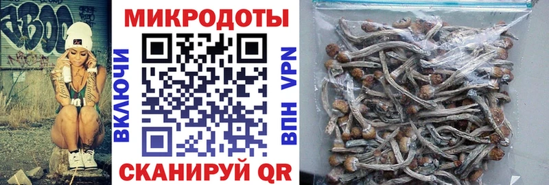 Псилоцибиновые грибы Psilocybine cubensis Заринск