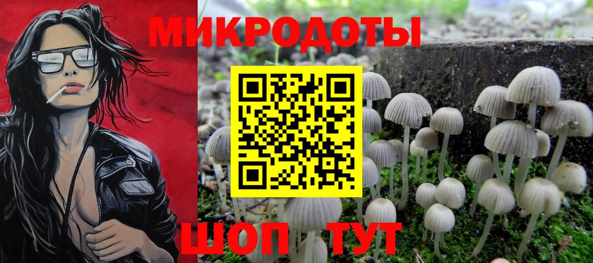 продажа наркотиков  Вход с VPN  Заринск  Галлюциногенные грибы мухоморы 