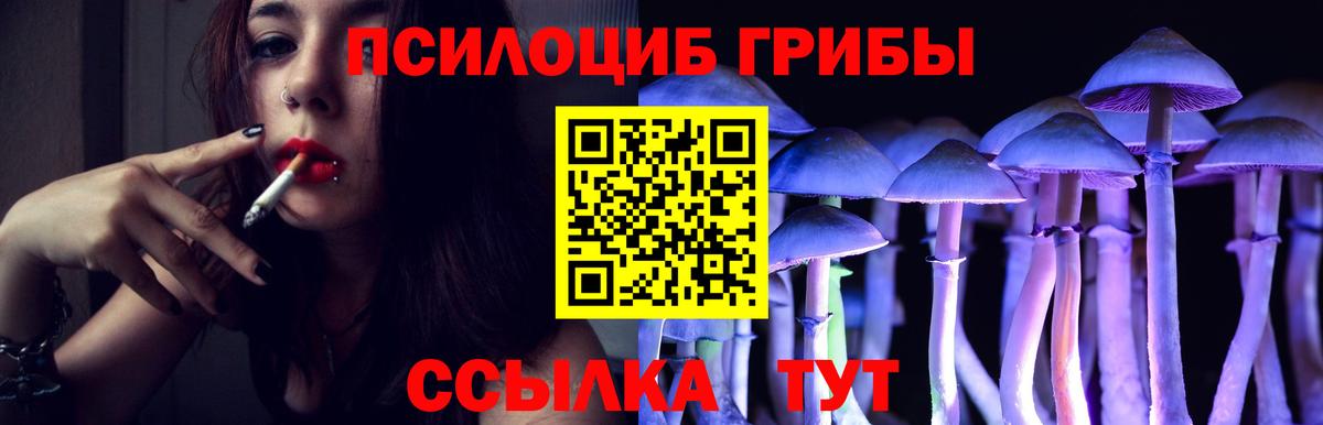 Псилоцибиновые грибы GOLDEN TEACHER Заринск