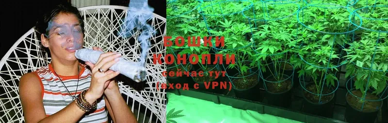 MEGA маркетплейс  Заринск  Марихуана SATIVA & INDICA 