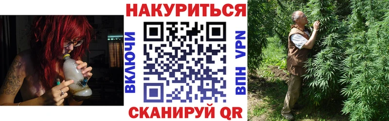 Конопля OG Kush Заринск
